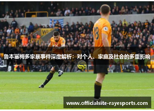 鲁本塞梅多家暴事件深度解析：对个人、家庭及社会的多重影响